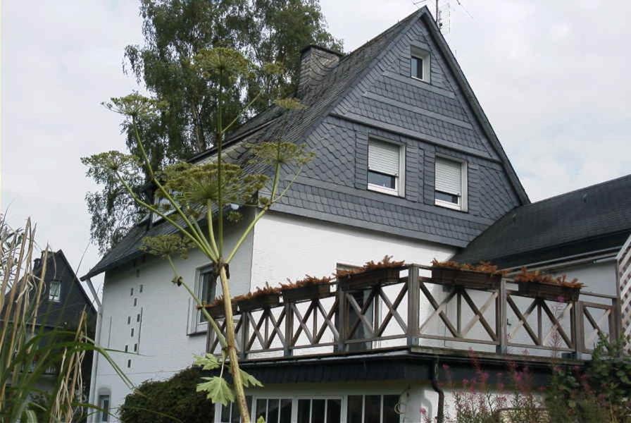 Weitblick Auf Berg, Wald Und Wiese Schmallenberg Exterior photo