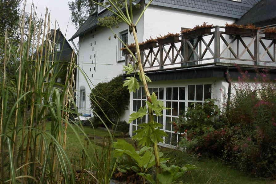 Weitblick Auf Berg, Wald Und Wiese Schmallenberg Exterior photo